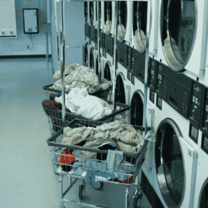 Disclaimer: All the pictures are just for illustration. They're not the actual laundry business in Al Satwa