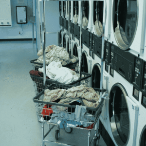 laundry business for sale in Dubai